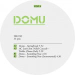 domu-springbreak Record Sleeve